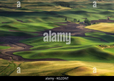 Sonne unterging in Steptoe Butte, Washington. Die schöne Szene von Gerste und Weizenfeld. Reiseziel im Sommer. Stockfoto