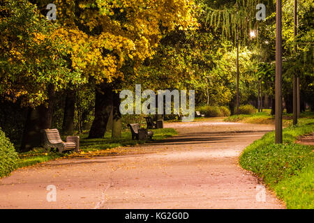 Nacht auf der Gasse in die Kirov zentrale Kultur und Freizeit Park, St. Petersburg, Russland Stockfoto