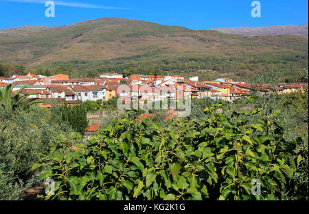 Kernhaltigen Siedlung Dorf Cuacos de Yuste, La Vera, Extremadura, Spanien Stockfoto