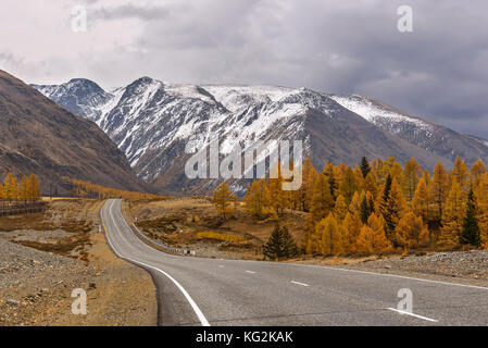 Ein malerischer Herbst Ansicht mit einer asphaltierten Straße, Berge mit Schnee bedeckt und goldene Lärchen vor dem Hintergrund der dunklen Gewitterwolken Stockfoto