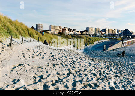 Sanddünen in Le Touquet - Paris Plage, Pas-de-Calais - Hauts-de-France - Frankreich Stockfoto