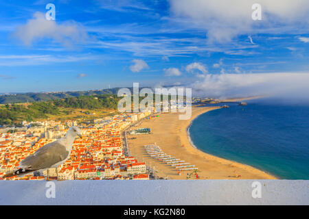 Nazare skyline Seagull Stockfoto