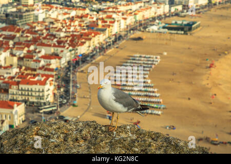 Nazare skyline Seagull Stockfoto