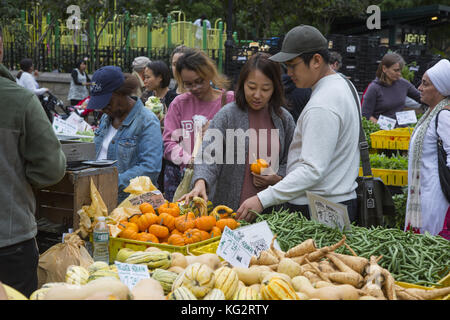 Auf dem Farmers Market am Union Square, New York City, kaufen die Leute Herbstangebote ein. Stockfoto