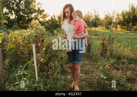 Mutter und Tochter im Garten pflücken Tomaten Stockfoto