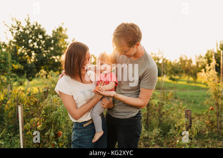 Eltern und Baby Tochter draußen im Garten pflücken Tomaten Stockfoto