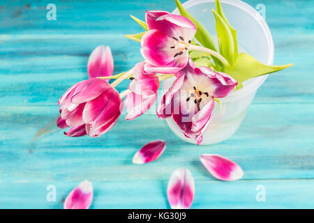 Welken Tulpen in einem Glas, gefallenen Blütenblätter auf einem blauen Hintergrund aus Holz. Stockfoto