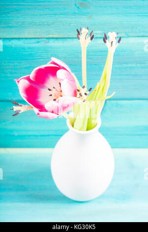 Verwelkt rosa Tulpen in einer weißen Vase auf einem blauen Hintergrund aus Holz. Stockfoto