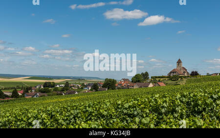 Kirche von cuis und der Champagner Dorf cuis mit grünen Weinberge in der Champagne Bezirk Cotes de Blancs, Frankreich. Stockfoto