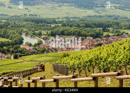 Cumieres, Frankreich - Juni 9, 2017: Weinberge von Moet Chandon in der Nähe von Hautvillers und Epernay in der Champagne Bezirk Vallee de la Marne in Frankreich. Stockfoto