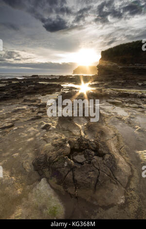 Sonnenuntergang über Curio Bay, ein versteinerter Wald in die catlins, Neuseeland Stockfoto