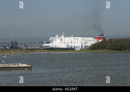 Das RSPB-Reservat im Hafen von Belfast. Das Reservat befindet sich im geschäftigen Handelshafen von Belfast. Tern Floß mit Stena Fähre im Hintergrund. Stockfoto