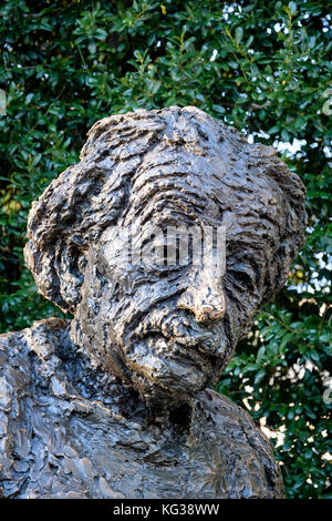 Nahaufnahme des Gesichts bronze Albert Einsteins statue am Albert Einstein Memorial in Washington, D.C., Vereinigte Staaten von Amerika, USA. Stockfoto