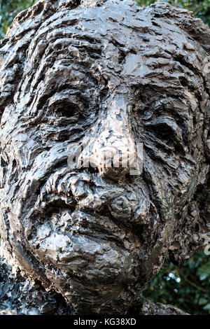 Nahaufnahme des Gesichts bronze Albert Einsteins statue am Albert Einstein Memorial in Washington, D.C., Vereinigte Staaten von Amerika, USA. Stockfoto
