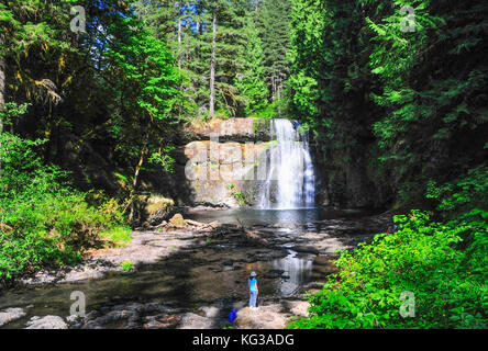 Silver Falls State Park, Florida, USA (Upper Falls) Stockfoto