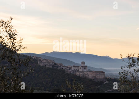 Schöne und Ungewöhnliche Blick auf Assisi (Umbrien) in der Dämmerung, mit etwas unscharf Olivenbäumen framing das Bild Stockfoto