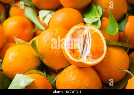 Bündel frische Mandarinen Orangen auf dem Markt Stockfoto