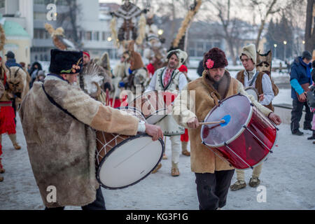 Pernik, Bulgarien - Januar 27, 2017: männlich Drummer mit Bart in traditionellen kuker Fell Kostüm mit braunen Hut Trommelt als Teil der Band perfo Stockfoto