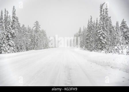 Straße durch Schnee Stockfoto