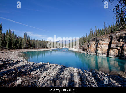 Einer ruhigen türkisfarbenen See durch die Athabasca River im Jasper Nationalpark, Alberta Stockfoto