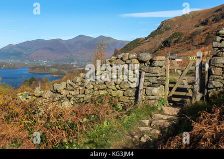 Skiddaw und Derwentwater aus der Nähe von ashness Bridge Lake District, Cumbria genommen Stockfoto