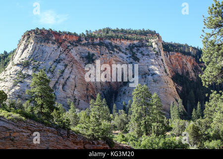 Eine Szene auf dem Zion - mt.carmel Highway wie gelangt man in den Zion National Park aus dem Osten Stockfoto