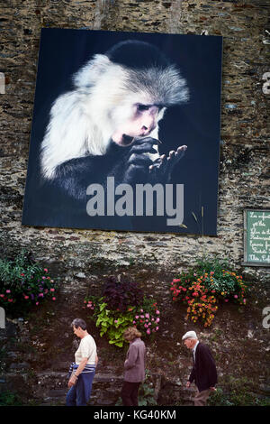 Tim Flachs Animal Studio Photographs on Display beim Outdoor Photography Festival in La Gacily Morbihan Brittany France Juli 2017 Stockfoto