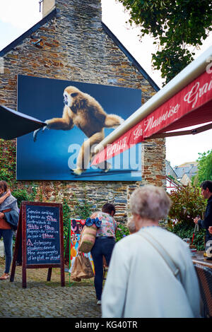 Tim Flachs Animal Studio Photographs on Display beim Outdoor Photography Festival in La Gacily Morbihan Brittany France Juli 2017 Stockfoto