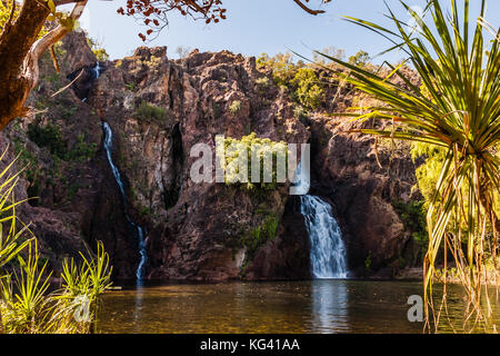 Die Wangi Falls, Litchfield National Park, Northern Territory, Australien Stockfoto