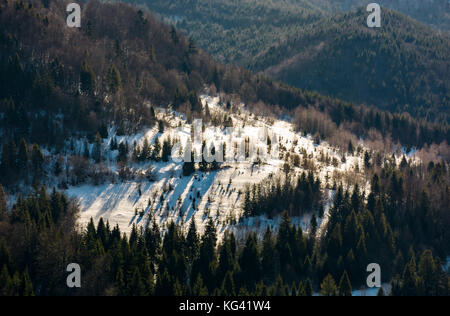 Verschneite Wiese unter Wald am Hang. schöne Natur Landschaft im Winter Stockfoto