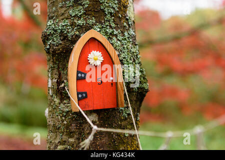 Fairy Türen auf Bäumen in einem irischen Holz für die kleinen Leute. Stockfoto