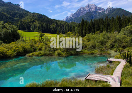 Zelenci in Slowenien Stockfoto