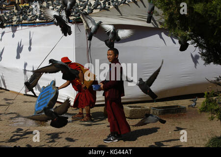 Kathmandu, Nepal. November 2017. Ein Mönch füttert Tauben in Boudhanath Stupa, einem UNESCO-Weltkulturerbe in Kathmandu, Nepal, am Freitag, den 03. November 2017. Quelle: Skanda Gautam/ZUMA Wire/Alamy Live News Stockfoto