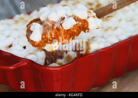 Esslöffel süsse Kartoffel Auflauf gebacken mit mini Marshmallows für Thanksgiving Dinner serviert wird. Extrem flache Tiefenschärfe mit SELECTIV Stockfoto