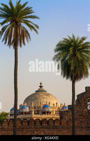 Kuppelbau zwischen Palmen Stockfoto