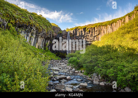 Blick auf den wunderschönen Basaltsäulen Wasserfall Svartifoss oder blackfall in Skaftafell National Park, Island Stockfoto