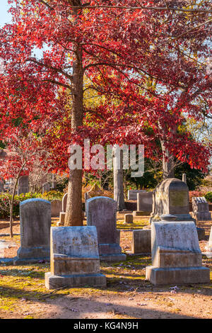 Gruppe von grabsteinen unter der Krone der rote Eiche auf dem Oakland Cemetery in sonnigen Herbsttag, Atlanta, USA Stockfoto