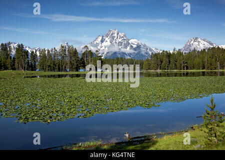 Wy 02552-00 ... Wyoming - moran Berg und Berg woodring Steigende über den stillen Wassern des Heron Teich am Rande der Jackson Lake im Grand Teton n Stockfoto