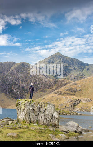 Solitary Man steht auf einem Felsen und blickt auf den Gipfel des Mount Snowdon, dem höchsten Berg in England und Wales. Stockfoto