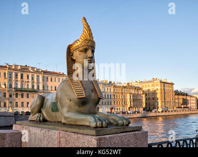 Eine der vier Skulpturen der sphingen an den ägyptischen Brücke, St. Petersburg, Russland Stockfoto