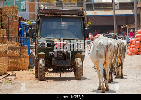 Chinesischen Traktor und Kühe in der Stadt aungban, kalaw Township, Taunggyi, Shan Staat, Myanmar/Burma Stockfoto