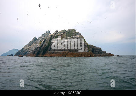 Little Skellig Insel mit großen Kolonie von norhern Basstölpel (Morus bassanus), im Hintergrund die Insel Skellig Michael, County Kerry, Irland Stockfoto