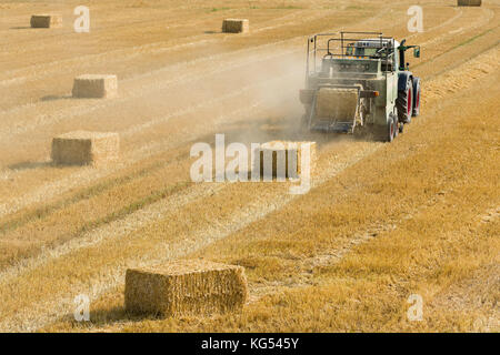 Traktor speichert, trockenem Heu auf dem Hof, Feld und macht Heu Ballen Stockfoto
