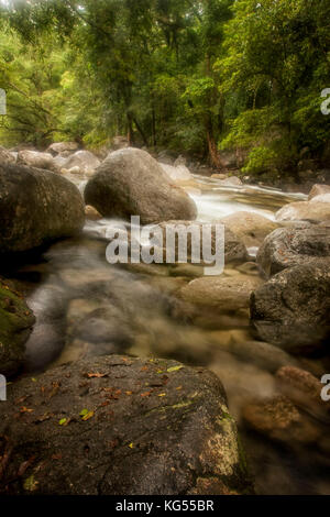 Felsbrocken im Regenwald stream, Mossman Gorge, Northern Territory, Australien Stockfoto