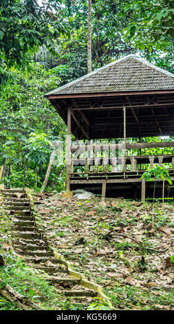 Holz- observatorium Schutz durch dichten, grünen Vegetation im Nationalpark in Indonesien umgeben Stockfoto