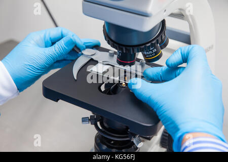 Junge männliche Wissenschaftler an Folien suchen unter dem Mikroskop Stockfoto