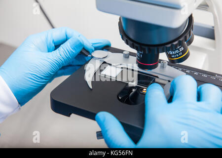 Junge männliche Wissenschaftler an Folien suchen unter dem Mikroskop Stockfoto