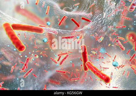 Kugelförmige Bakterien und stabförmige Bakterien in Biofilmen, computer Abbildung. Ein Biofilm ist eine Kolonie von Bakterien, die eine Beschichtung auf einer Oberfläche. Gemeinsame Orte für Biofilme zu entwickeln sind, in den Mund, wo Sie Zahn Karies und Zahnfleischerkrankungen verursachen kann, auf Kontaktlinsen, wo Sie Auge Infektionen verursachen können, auf Felsen in Wasser eingetaucht und auf industrielle Anlagen, wo Sie Verschmutzung verursachen können. Stockfoto