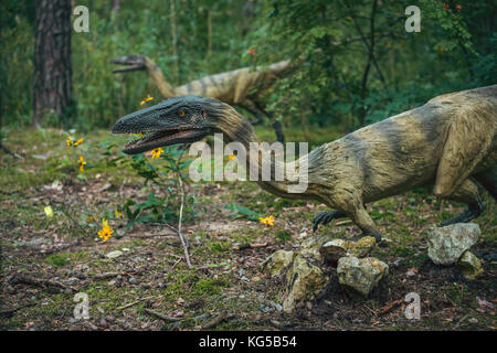 Solec kujawski, Polen - August 2017: zwei Lebensgroßen raptor Dinosaurier Statuen in einem Wald Stockfoto