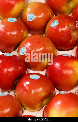 Rot und gesund Äpfel am Marktstand Stockfoto